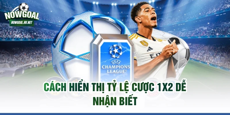 Cách hiển thị tỷ lệ cược 1x2 dễ nhận biết