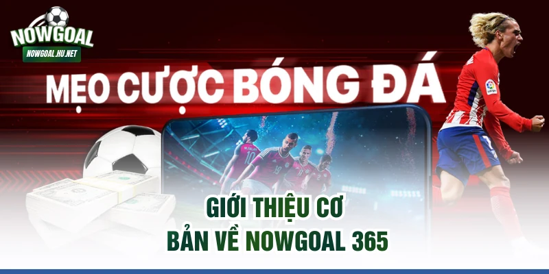 Giới thiệu cơ bản về Nowgoal 365