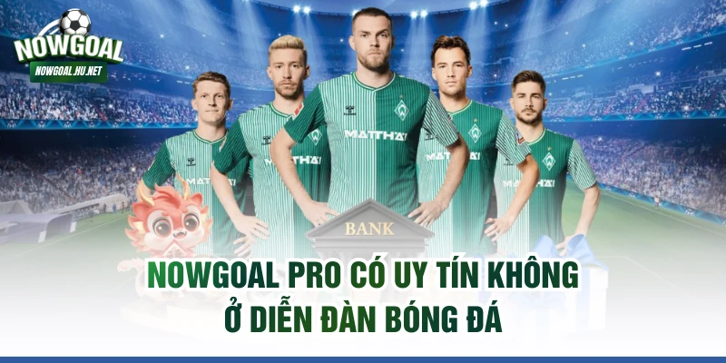 NOWGOAL Pro có uy tín không ở diễn đàn bóng đá