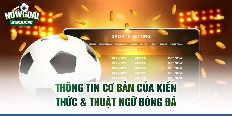 Thông tin cơ bản của kiến thức & thuật ngữ bóng đá