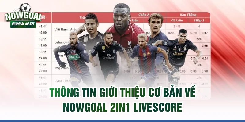 Thông tin giới thiệu cơ bản về Nowgoal 2in1 Livescore 