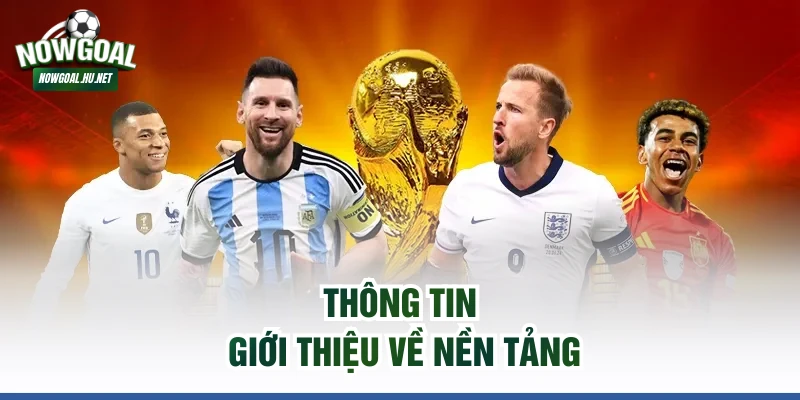 Thông tin giới thiệu về nền tảng