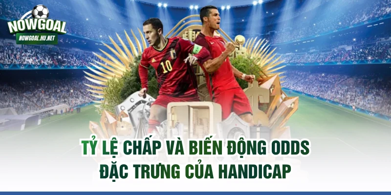 Tỷ lệ chấp và biến động odds đặc trưng của handicap